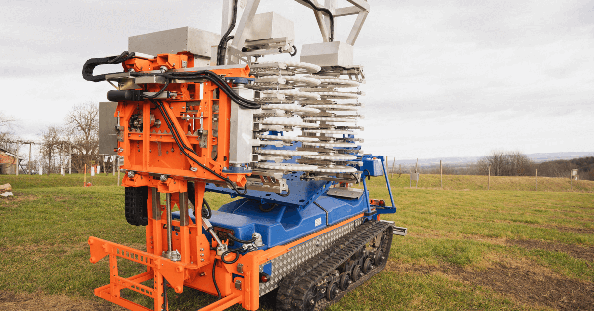 Winter Preparation for Your Orchard