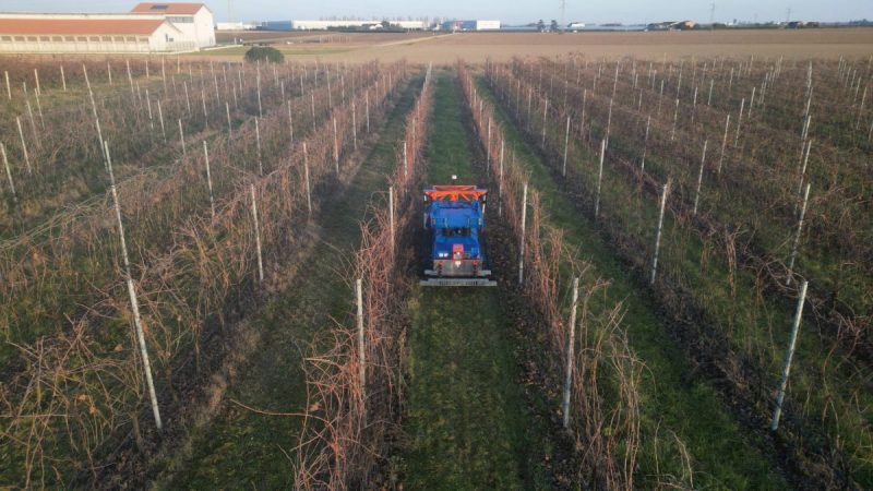 How Can the Drum Mulcher Improve Land Management?