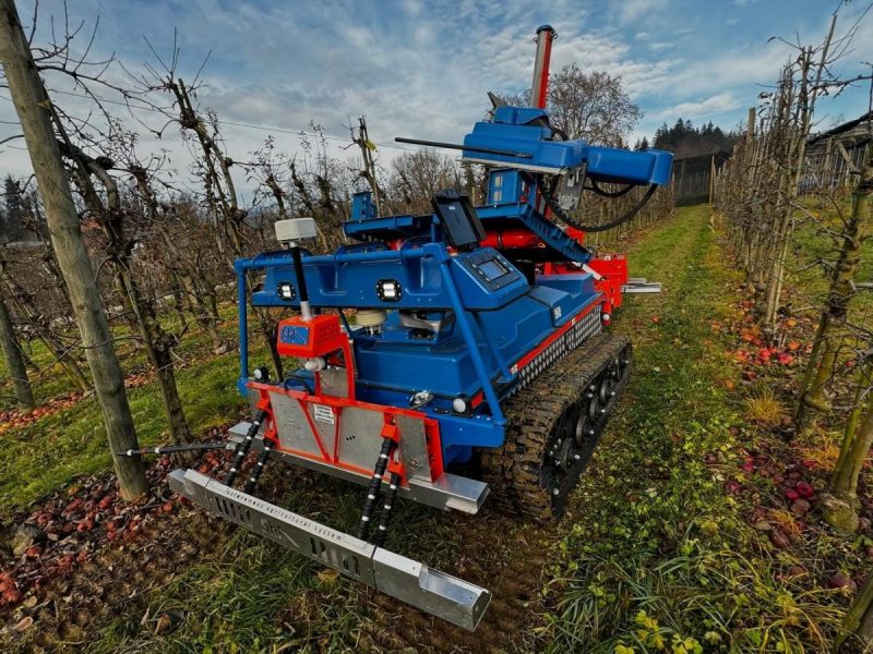 Can the Horizontal and Vertical Cutter Simplify Pruning?